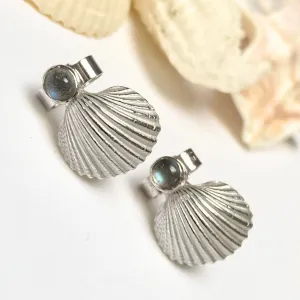 Dainty Silver Shell Stud Earrings